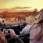 5 Tips For Safari In Kruger National Park