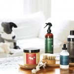 Buy Dog Supplements From An Online Store