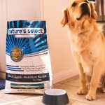 Dog Food For Our Lovely Dog