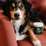 Dog MX Hip And Joint Powder For All Breeds