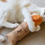 Factors To Consider When Buying Cat Toys