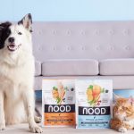 Health Benefits Of Premium Cat Food