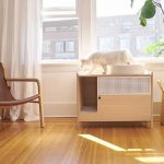 How To Buy The Best Cat Carton