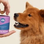 Only Natural Pet® Probiotic Blend Digestive Support Soft Dog Chews