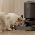 Reasons To Invest In Automatic Pet Feeder For Your Pets