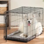 The Benefits Of Global Source Single Door Folding Wire Dog Crate