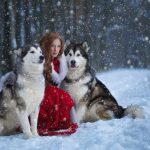 Things You Should Know About Alaskan Malamute