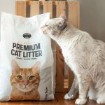 Tips For Buying The Best Cat Litter