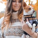 Tips For Finding The Best Dog Clothes