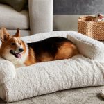 Tips On Choosing The Best Pet Bed