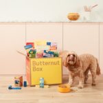 A Healthy Recipe For Dogs