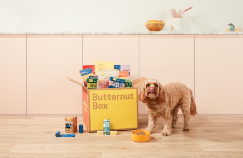 A Healthy Recipe For Dogs