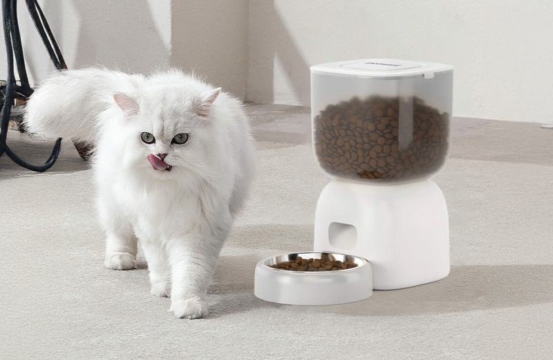 Benefits Of Using Automatic Animal Feeder