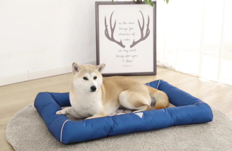 Five Different Types Of Dog Beds