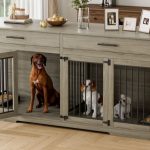 Great Features Of Dog Cage