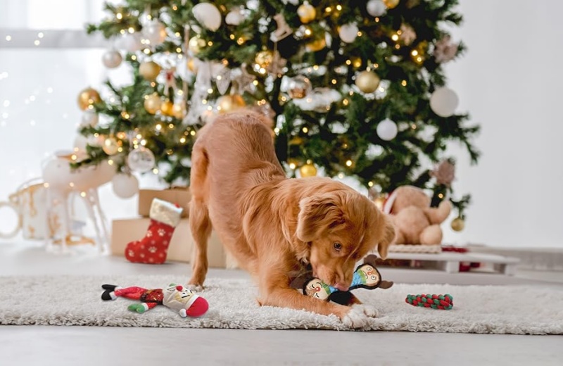 Large Dog Toy Stocking, A Great Holiday Gift For Your Furry Friend