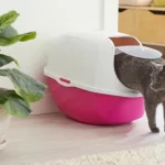 Luxurious Hooded Odor-control Cat Litter Box