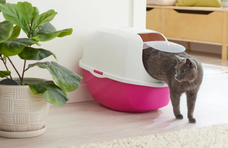 Luxurious Hooded Odor-control Cat Litter Box