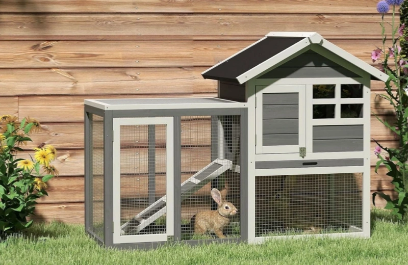 Rabbit Shed Pet House, Is A Cozy Hutch For Your Bunny And Hamster