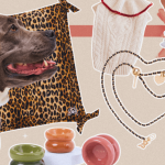 Some Recommendations For Lovely Pet Gifts
