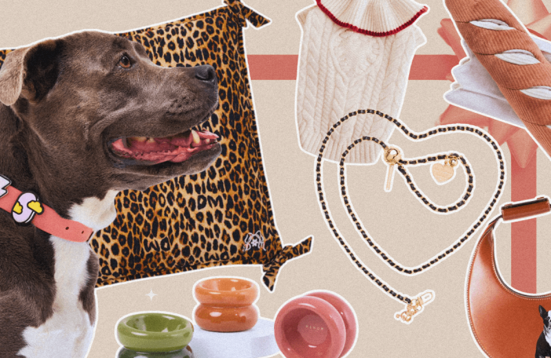 Some Recommendations For Lovely Pet Gifts