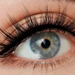 The Practicality Of Fake Eyelashes