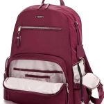 Things To Consider Buying Voyager Carson Nylon Backpack