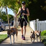 Three Great Dog Walkers