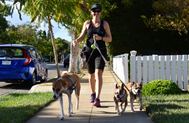 Three Great Dog Walkers
