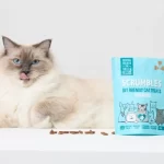 Three Kinds Of Cat Food Ingredients