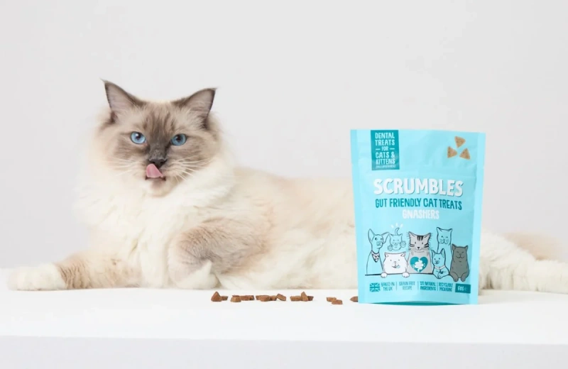 Three Kinds Of Cat Food Ingredients