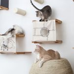 A Fun Playground For Cats