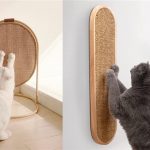 A Lifesaver For Cat Owners