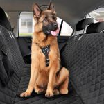 ﻿﻿Four Advantages Of Pet Anti-Slip Anti-Scratch Dog Car Seat Cover