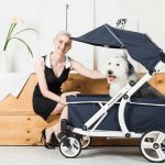 Seven Reasons Why Cats And Dogs Need A Stroller
