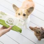 ﻿﻿Steps And Precautions For Using Dog Wipes